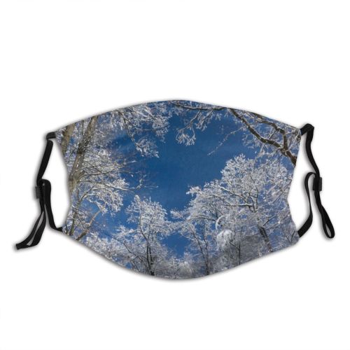 yanfind Winter Frozen Snowy Sky Swiss Winter Heights Branches Woody Below Sky Ice Dust Washable Reusable Filter and Reusable Mouth Warm Windproof Cotton Face