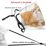 yanfind Isolated Whisker Fur Emotional Striped Cat Game Cute Staring Watching Posing Beautiful Dust Washable Reusable Filter and Reusable Mouth Warm Windproof Cotton Face