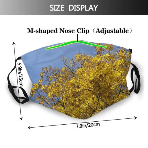 yanfind Leaf Sky Plant Fall Spring Leaf Tree Tree Branch Plant Autumn Autumn Dust Washable Reusable Filter and Reusable Mouth Warm Windproof Cotton Face