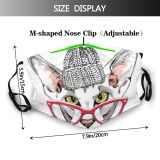 yanfind Isolated Elegant Fur Fashion Meow Cat Kitty Cute Wool Shorthair Stylish Cap Dust Washable Reusable Filter and Reusable Mouth Warm Windproof Cotton Face