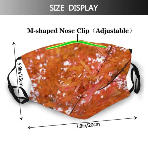 yanfind Deciduous Leaf Maple Leaf Plant Maple Tree Plant Fall Branch Autumn Woody Dust Washable Reusable Filter and Reusable Mouth Warm Windproof Cotton Face