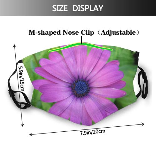 yanfind Plant Annual Flower Lilac Flower Petal Daisy Plant Purple Outdoor Botany Petal Dust Washable Reusable Filter and Reusable Mouth Warm Windproof Cotton Face