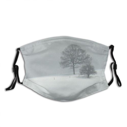 yanfind Fog Winter Mist Silence Tree Storm Blizzard Snow Tree Winter Atmospheric Freezing Dust Washable Reusable Filter and Reusable Mouth Warm Windproof Cotton Face