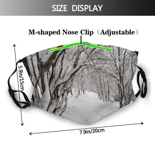 yanfind Winter Christmas Winter Natural Landscape Ice Branch Snow Forest Season Tree Blizzard Dust Washable Reusable Filter and Reusable Mouth Warm Windproof Cotton Face