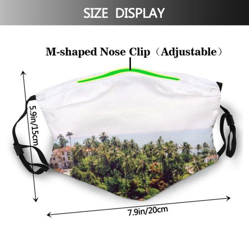 yanfind Metropolis Pernambuco Building Work Jungle Tourism Trip Vegetation Plant Light City Street Dust Washable Reusable Filter and Reusable Mouth Warm Windproof Cotton Face