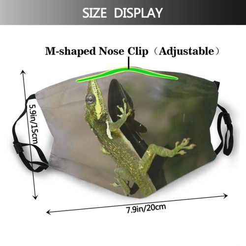 yanfind Climb Lizard Dragon Anole Cuban Iguana Plant Climbing Hialeah Amphibian Flower Scale Dust Washable Reusable Filter and Reusable Mouth Warm Windproof Cotton Face