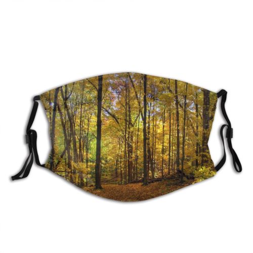 yanfind Temperate Tranquil Sky Natural Idyllic Beauty Sun Autumn Branches Happiness Leaves Landscape   Dust Washable Reusable Filter and Reusable Mouth Warm Windproof Cotton Face