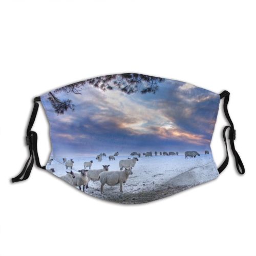 yanfind Landscape Agriculture Sheep Snow Herd Sky Wildlife UK Scenics Travel Dusk Outdoors Dust Washable Reusable Filter and Reusable Mouth Warm Windproof Cotton Face