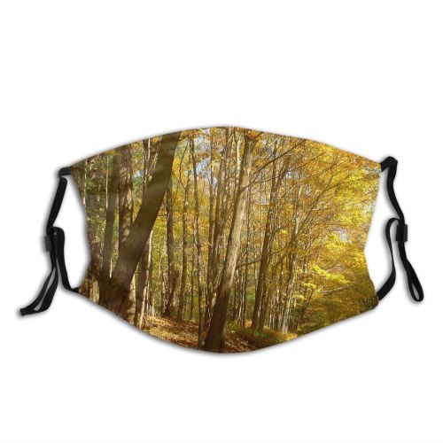 yanfind Natural Autumn Leaves Landscape York Fall Road Forest Hardwood Leaf Northern Tree   Dust Washable Reusable Filter and Reusable Mouth Warm Windproof Cotton Face