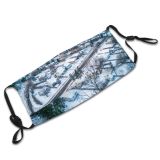 yanfind Ice Frost Aerial Contemplation Landscape Woodland Frozen Walkway Tranquility Rural Tree Scene Dust Washable Reusable Filter and Reusable Mouth Warm Windproof Cotton Face