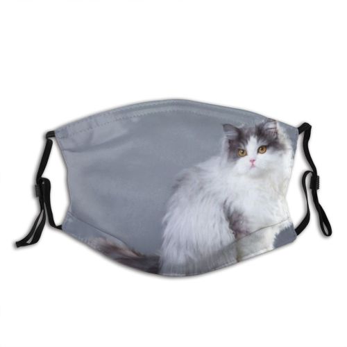 yanfind Isolated Thoroughbred Fur Cat Cute Grey Muzzle Clever Soft Beautiful Haired Pet Dust Washable Reusable Filter and Reusable Mouth Warm Windproof Cotton Face