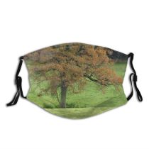 yanfind Grazing Leaves Grassland Leaf Landscape Trees Sheep Tree Tree Grass Natural Pasture Dust Washable Reusable Filter and Reusable Mouth Warm Windproof Cotton Face