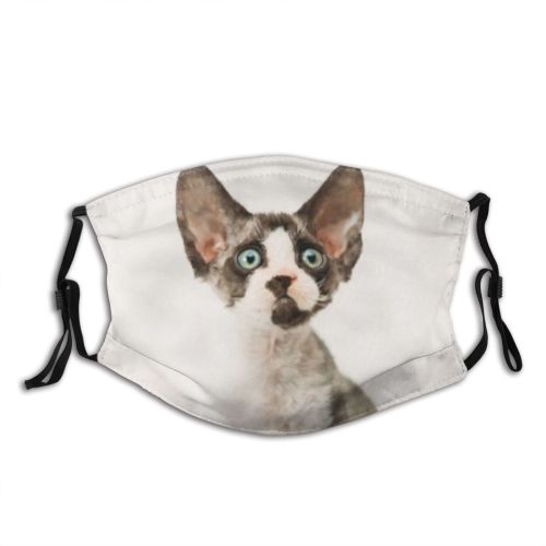 yanfind Devon Young Cat Kitty Cute Shorthair Grey Pedigree Curious Beautiful Pretty Pet Dust Washable Reusable Filter and Reusable Mouth Warm Windproof Cotton Face