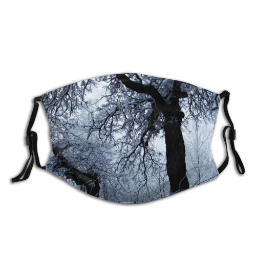 yanfind Winter Natural Atmospheric Woody Sky Branch Tree Trees Plant Snow Dust Washable Reusable Filter and Reusable Mouth Warm Windproof Cotton Face