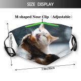 yanfind Fur Young Wool Cat Kitty Licking Bathing Cute Wildlife Beautiful Pretty Face Dust Washable Reusable Filter and Reusable Mouth Warm Windproof Cotton Face