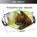 yanfind Garden Fur Hunter Stripe Meow Cat Kitty Cute Attention Wildlife Stripped Summer Dust Washable Reusable Filter and Reusable Mouth Warm Windproof Cotton Face