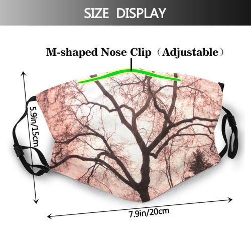 yanfind Winter Pastel Sepia Morning Natural Atmospheric Woody Landscape Sky Plant Light Branch Dust Washable Reusable Filter and Reusable Mouth Warm Windproof Cotton Face