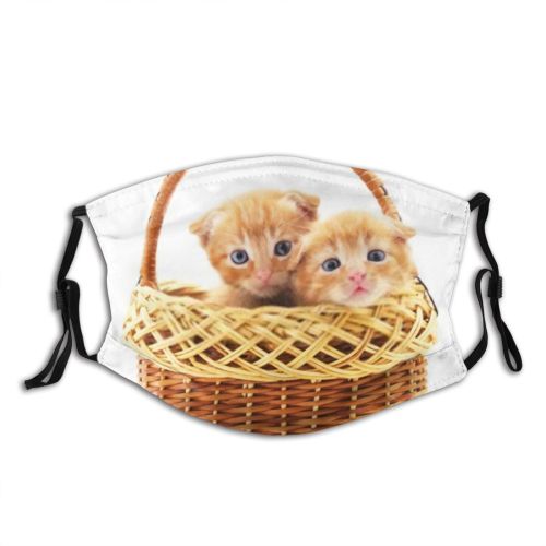 yanfind Friends Isolated Happiness Little Kitty Kittens Basket Attentive Baby Beautiful Children Favorite Dust Washable Reusable Filter and Reusable Mouth Warm Windproof Cotton Face