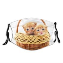 yanfind Friends Isolated Happiness Little Kitty Kittens Basket Attentive Baby Beautiful Children Favorite Dust Washable Reusable Filter and Reusable Mouth Warm Windproof Cotton Face