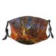 yanfind HDR Natural Autumn October Landscape Fall Forrest Leaf Forest Sunny Hardwood Leaf   Dust Washable Reusable Filter and Reusable Mouth Warm Windproof Cotton Face