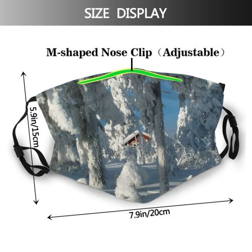 yanfind Winter Winter Quiet Geological Plant Ice Forrest Formation Snow Tree Frost Glacial Dust Washable Reusable Filter and Reusable Mouth Warm Windproof Cotton Face
