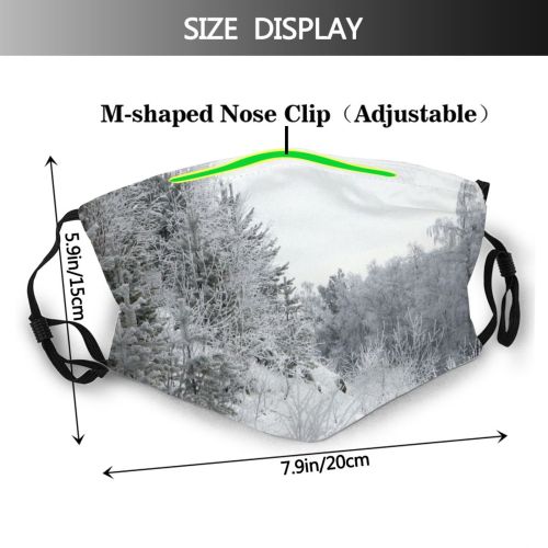 yanfind Winter Forest Frost Freeze Plant Tree Tree Plant Branch Frost Winter Forest Dust Washable Reusable Filter and Reusable Mouth Warm Windproof Cotton Face