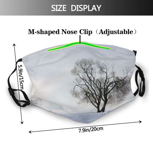 yanfind Zakopane Winter Lonely Winter Natural Atmospheric Woody Landscape Sky Branch Poland Snow Dust Washable Reusable Filter and Reusable Mouth Warm Windproof Cotton Face