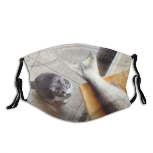 yanfind Chopping Dining Young Cat Board Cute Hungry Desire Licking Raw Grey Kitchen Dust Washable Reusable Filter and Reusable Mouth Warm Windproof Cotton Face