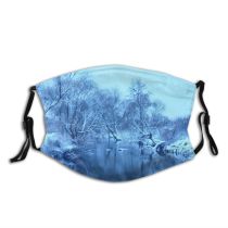 yanfind Winter Lake Landscape Reflection Tree Natural Winter Freezing Atmospheric Snow Dust Washable Reusable Filter and Reusable Mouth Warm Windproof Cotton Face
