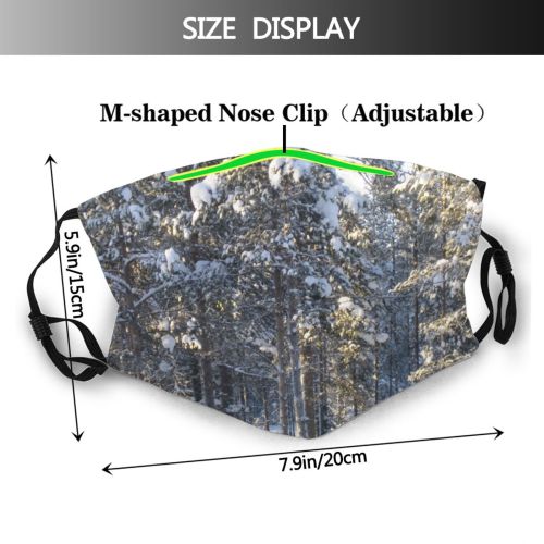 yanfind Lapp Levi Winter Sun Woody Birch Sky Plant Ice Kotta Snow Finland Dust Washable Reusable Filter and Reusable Mouth Warm Windproof Cotton Face