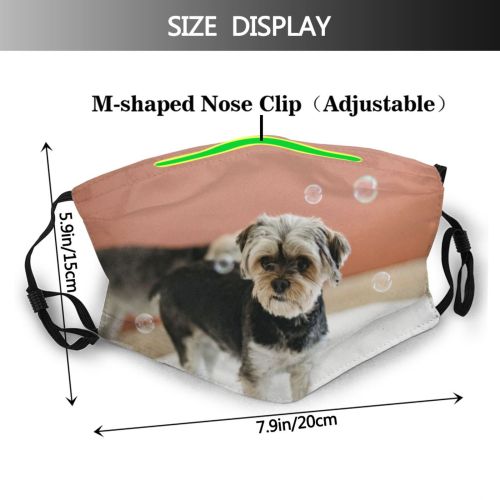 yanfind Idyllic Transparent Dog Dreamy Calm Friendly Yorkshire Cute Chordate Attentive Tranquil Bubble Dust Washable Reusable Filter and Reusable Mouth Warm Windproof Cotton Face