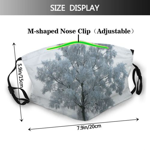 yanfind Winter Mist Morning Natural Atmospheric Woody Fog Landscape Sky Ice Tree Tree Dust Washable Reusable Filter and Reusable Mouth Warm Windproof Cotton Face