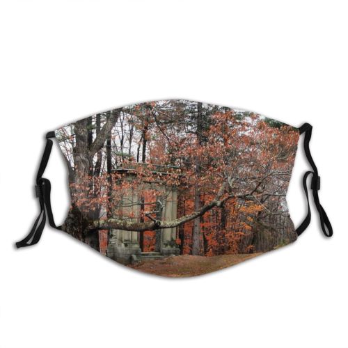 yanfind Mystic Autumn Column Woody Leaves Plant Fall Branch Forest Leaf Tree Tree Dust Washable Reusable Filter and Reusable Mouth Warm Windproof Cotton Face