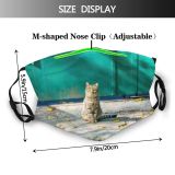 yanfind Fur Cat Cute Fence Posing Sits Beautiful Face Pose Sight Pet Fluffy Dust Washable Reusable Filter and Reusable Mouth Warm Windproof Cotton Face