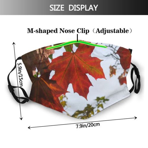 yanfind Flowering Deciduous Leaf Maple Leaf Trees Maple Plant Tree Plant Autumn Woody Dust Washable Reusable Filter and Reusable Mouth Warm Windproof Cotton Face
