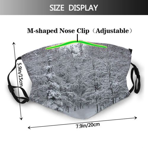 yanfind Winter Tree Tree Branch Frost Winter Forest Freezing Atmospheric Snow Dust Washable Reusable Filter and Reusable Mouth Warm Windproof Cotton Face