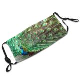 yanfind Ground Peacock Wing Fountain Tail Wader Phasianidae Accessory Beak Feather Bird Peafowl Dust Washable Reusable Filter and Reusable Mouth Warm Windproof Cotton Face