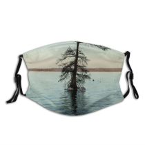 yanfind Tennessee Resources Lake Landscape Reflection Quake Plant Bayou Tree Reelfoor Ice Calm Dust Washable Reusable Filter and Reusable Mouth Warm Windproof Cotton Face