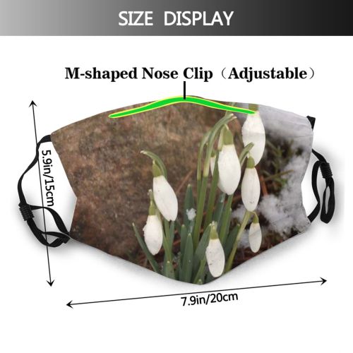 yanfind Winter Flower Frozen Spring Snowflake Amaryllis Flourish Plant Flowers Galanthus Wildflower Snow Dust Washable Reusable Filter and Reusable Mouth Warm Windproof Cotton Face