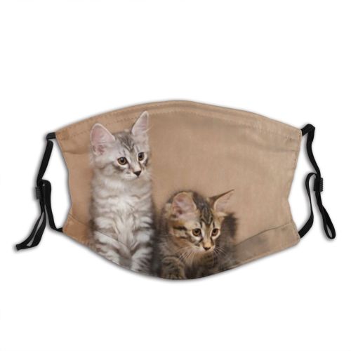yanfind Comfortable Comfort Thoroughbred Fur Hunter Kuril Young Little Cat Kitty Cute Striped Dust Washable Reusable Filter and Reusable Mouth Warm Windproof Cotton Face