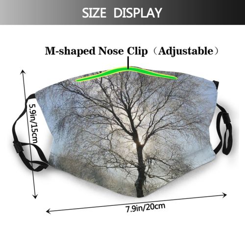 yanfind Winter Frost Landscape Sky Tree Tree Plant Branch Winter Natural Freezing Sun Dust Washable Reusable Filter and Reusable Mouth Warm Windproof Cotton Face