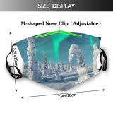 yanfind Ice Europe Dramatic Frost Arctic Landscape Frozen Finnish Lapland Tree Scene Geomagnetic Dust Washable Reusable Filter and Reusable Mouth Warm Windproof Cotton Face