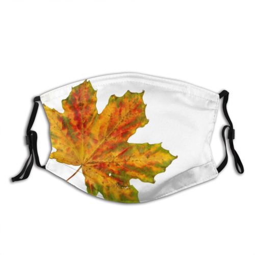 yanfind Flowering Leaves Leaf Maple Leaf Maple Fall Plant Tree Plant Decoration Autumn Dust Washable Reusable Filter and Reusable Mouth Warm Windproof Cotton Face
