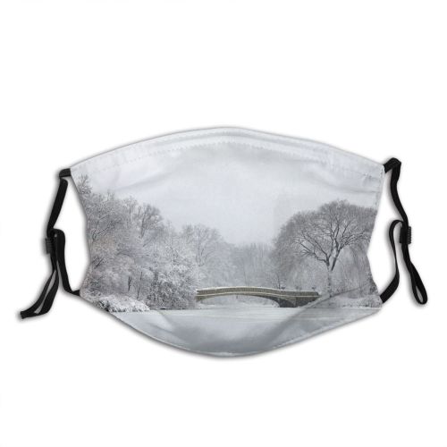 yanfind Public Central Manhattan Frozen Built Tree Scene Snow City Place York Pond Dust Washable Reusable Filter and Reusable Mouth Warm Windproof Cotton Face