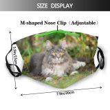 yanfind Garden Fur Cat Cute Backyard Resting Coon Meadow Grass Curious Lawn Fluffy Dust Washable Reusable Filter and Reusable Mouth Warm Windproof Cotton Face