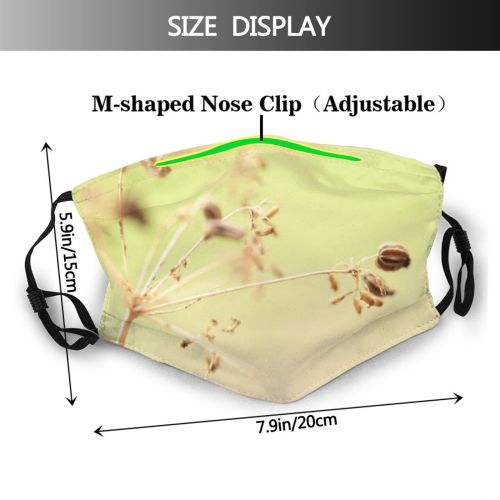 yanfind Macro Insect Leaf Organism Plant Twig Plant Stem Spring Brittle Flower Dust Washable Reusable Filter and Reusable Mouth Warm Windproof Cotton Face
