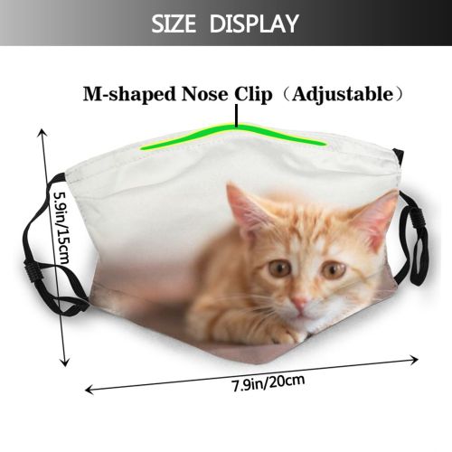 yanfind Lovely Fur Hunter Young Little Cat Kitty Cute Striped Attention Fuzzy Lazy Dust Washable Reusable Filter and Reusable Mouth Warm Windproof Cotton Face