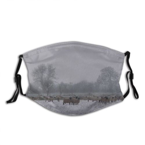 yanfind Fog Winter Herd Bovine Tree Sheep Field Frost Winter Atmospheric Freezing Snow Dust Washable Reusable Filter and Reusable Mouth Warm Windproof Cotton Face
