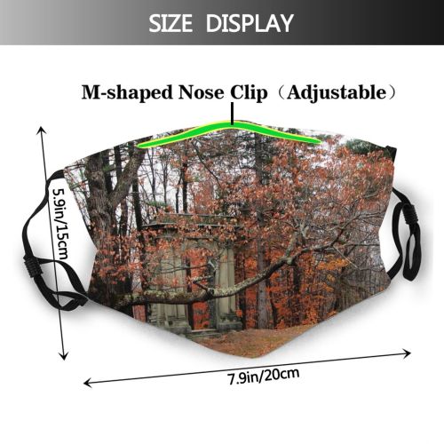 yanfind Mystic Autumn Column Woody Leaves Plant Fall Branch Forest Leaf Tree Tree Dust Washable Reusable Filter and Reusable Mouth Warm Windproof Cotton Face