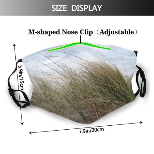 yanfind Gras Grass Netherlands Holland Tree Plant Wind Chrysopogon Family Coast Dunes Phragmites Dust Washable Reusable Filter and Reusable Mouth Warm Windproof Cotton Face